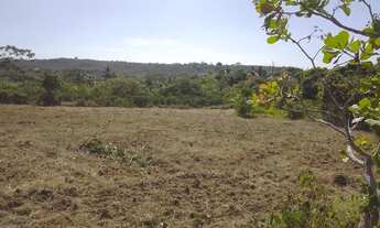 Imagem 7: Pra Vender rápido