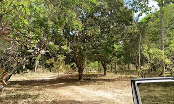 Imagem 6: Chácara com escritura no Coxipó do Ouro entre as vilas Arraial do Freitas e Coxipó do Ou