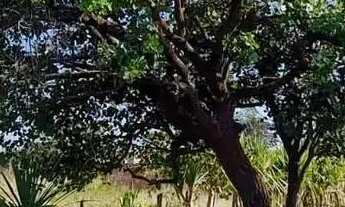 Imagem 4: Terreno com 1.000m² à Venda por Financiamento Particular no bairro Recanto do Igarapé em I