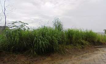 Imagem 5: Oportunidade!!!Lote 342 m² no João Braz!!