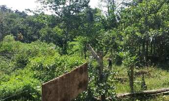 Imagem 2: Vendo sítio no ramal do pau rosa km 21