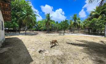 Imagem 7: Terreno Mondubim 43.900m3 Diversas Finidades