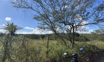 Imagem 4: Oportunidade localização privilegiada zona rural de Irará