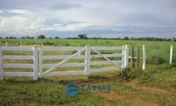 Imagem: Área Rural, no Tocantis