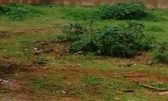 Imagem 5: Terreno em ótimo local