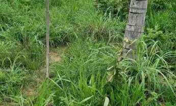 Imagem 4: FAZENDA (324 Hectares), EM VARGEM GRANDE MT