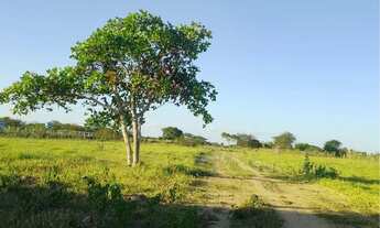 Imagem 2: Terreno em retiro coração de Maria , leia a descrição