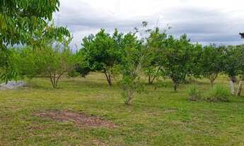 Imagem 4: Sítio na RR 432 confiança