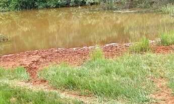 Imagem 5: Chácara à Venda 8 Alqueires em Palestina de Goiás-GO