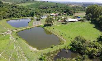 Imagem 5: Sitio em santo antonio da alegria 9.5 alqueires 4.100.000.00