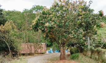 Imagem 3: Chácara a venda