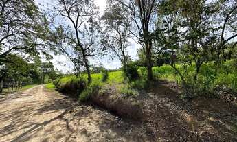 Imagem 3: VENDO CHÁCARA COM ESCRITURA- EXCELENTE LOCALIZAÇÃO