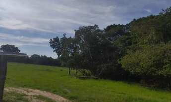 Imagem 7: FAZENDA A VENDA EM VILA APARECIDA. MUNICÍPIO DE CÁCERES