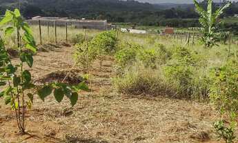 Imagem 2: Vendo lotes 500 m2