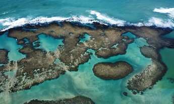 Imagem 6: Imóvel para venda com 23 metros quadrados com 1 quarto em Centro - São José da Coroa Grand