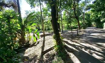 Imagem: Terreno plano com mais de 1.000m2