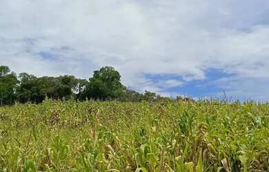 Imagem 5: Terrenos Amplos em Ibiúna 1000m² com Muito Verde