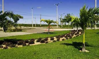 Imagem 5: Terreno em Socopo - Teresina