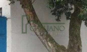 Imagem 2: Galpão, Vila Anastácio, São Paulo, Cod: 13314