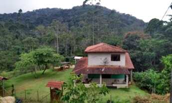 Imagem 6: Chácara para venda possui 5000 mil metros quadrados