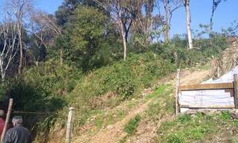 Imagem 4: CAXIAS DO SUL - Terreno Padrão - Vila Lobos
