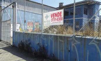 Imagem 3: Comércio VILA SONIA São Paulo/SP