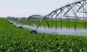 Imagem: 350.000.000 Fazenda 417 alqueires para lavoura