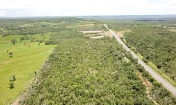 Imagem 3: Fazenda/Sítio 12,5 Alqueires a 98 km de (taquaruçu) Palmas-TO