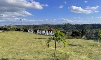 Imagem 2: Lote/Terreno para venda com 324m em Condomínio Fechado - Bananeiras, Pb