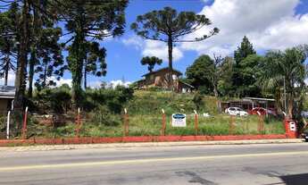 Imagem: CAXIAS DO SUL - Terreno Padrão - Sagrada