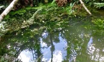 Imagem 5: Chácara em agudos do sul