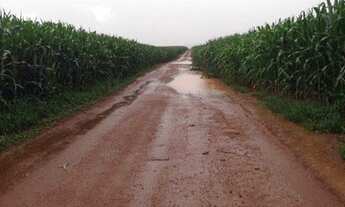 Imagem 6: 350.000.000 Fazenda 417 alqueires para lavoura em Ipameri-Go