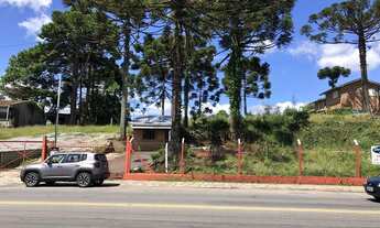 Imagem 2: CAXIAS DO SUL - Terreno Padrão - Sagrada Familia