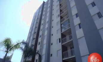 Imagem 7: São Paulo - Apartamento Padrão - Pari