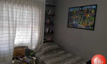 Imagem 7: São Paulo - Casa Padrão - Belém