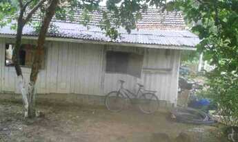 Imagem 3: Sitio ascurra Chácara com venda por R$190.000