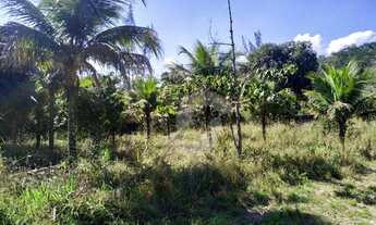 Imagem 6: Terreno à venda, 15160 m² por R$ 600.000,00 - Caxito Pequeno - Maricá/RJ