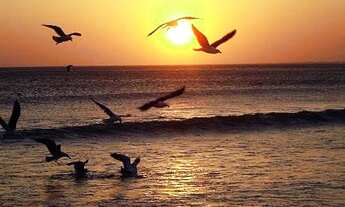 Imagem: A 150 METROS DA PARAIA, CASA FINANCIADA