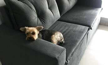 Imagem 6: Apartamento com 2 dormitórios à venda, 70 m² por R$ 880.000,00 - Santo Amaro - São Paulo/S