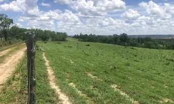 Imagem 5: Fazenda/Sítio/Chácara para venda localizado a 1Km do Rio da Prata e 35 Km de Presidente Ol