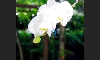 Imagem 6: Apartamento para alugar, 50 m² por R$ 2.550,00/mês - Interlagos - São Paulo/SP