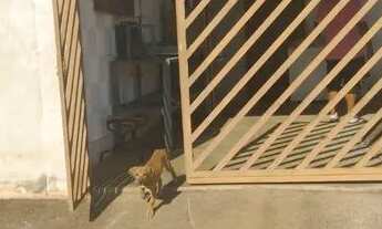 Imagem 3: Casa Serra Azul Casa com 2 dormitórios