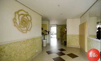 Imagem 4: São Paulo - Apartamento Padrão - Tatuapé