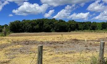Imagem 2: Terrenos a venda em vale verde
