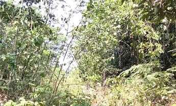 Imagem 3: /Lote em Açutuba com 4 mil m2