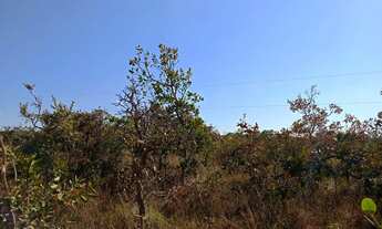 Imagem 2: Chácara 5.000 M²...Com Poço Artesiano!!!!129.900.00