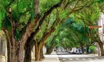 Imagem 6: Edf. VILLA VITÓRIA. Apartamento 4 quartos, suítes, à venda no Corredor da Vitória