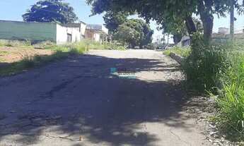 Imagem 3: Lote no SETOR PEDRO LUDOVICO