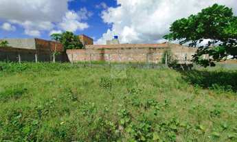 Imagem 4: Terreno para aluguel no Bairro São Braz , Nossa Senhora do Socorro