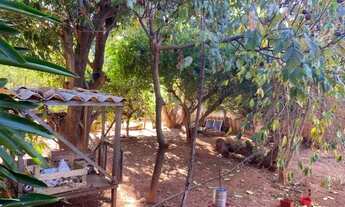 Imagem 7: Chácara 1.600 m² a 15 km de Montes Claros (saída Bocaiuva